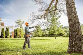 Best Lawn Grading and Leveling  in Blythe, CA