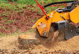 Best Lawn Watering Services  in Blythe, CA