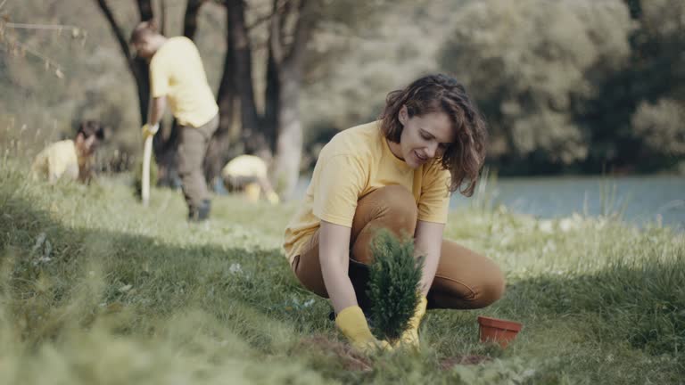Best Tree Maintenance Programs  in Blythe, CA